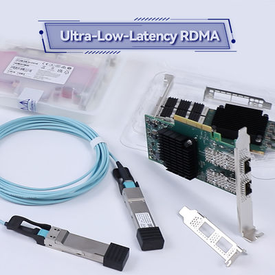 Dual Port QSFP28 Mellanox 100gbe Network Card Datasheet Adapter MCX516A-CDAT PCIe 4.0 X16 Tall Bracket